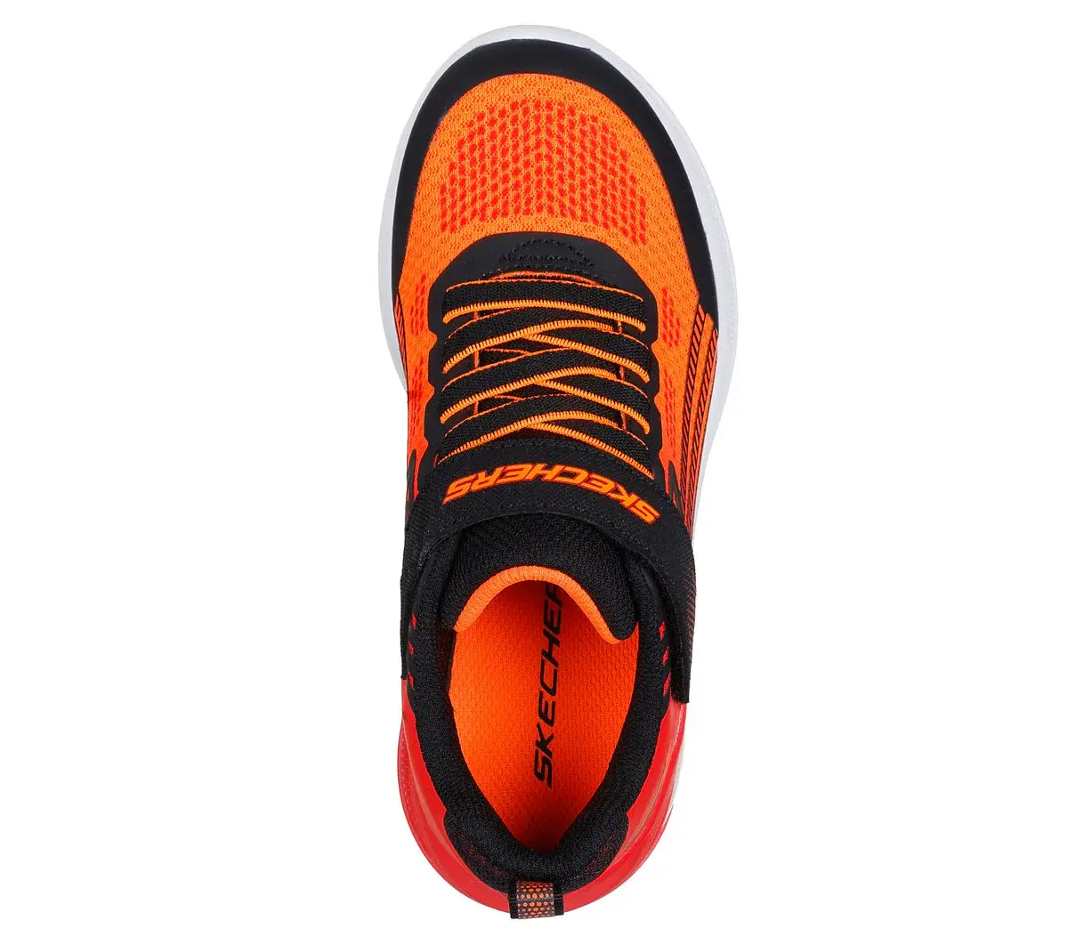 Microscope Max Advance