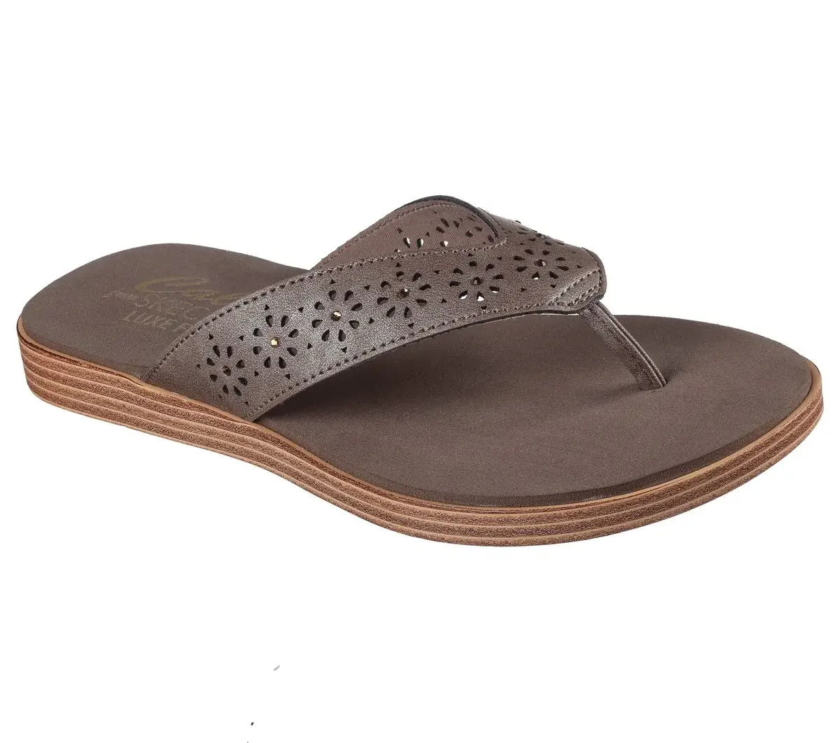 Summer Cove Summer Cove